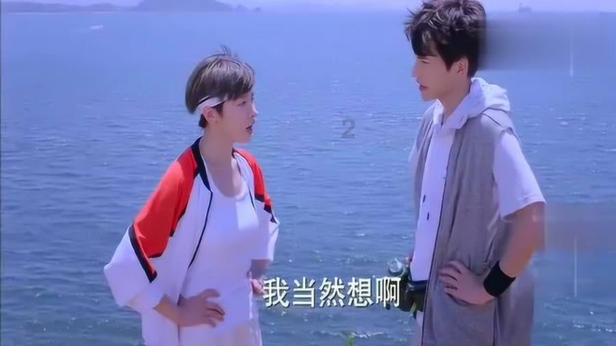 斯大林开会时,全体将帅都要站立,为何此人能够例外?